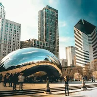 Chicago pet groomers