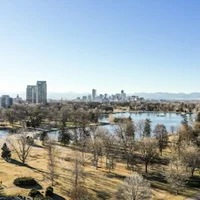 Denver pet groomers