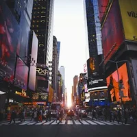 New York pet groomers